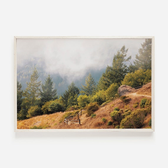 Foggy Forest Print Landscape Wall Art Photography Trees Poster Decor Prints