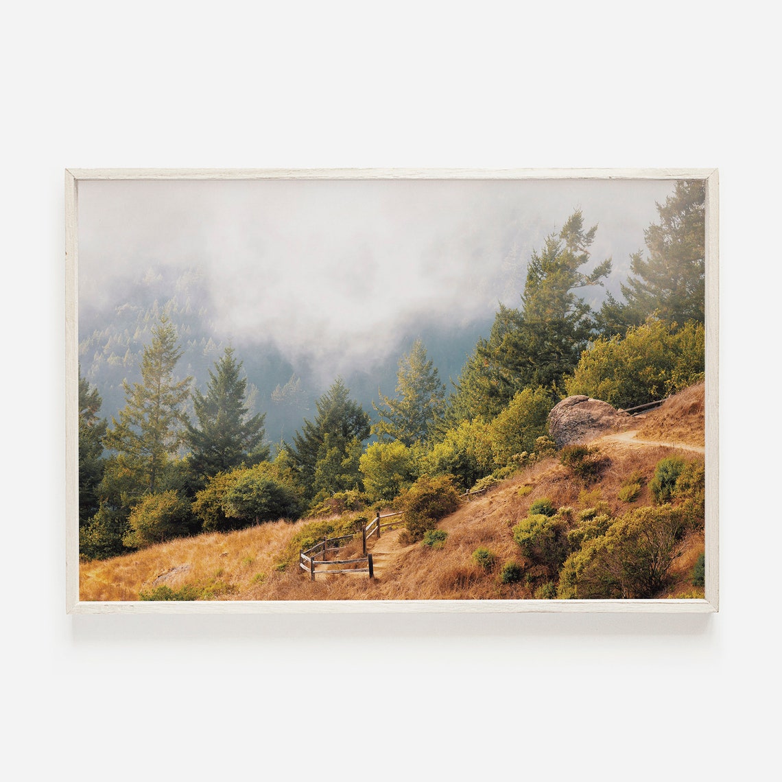 Foggy Forest Hillside Trail Misty Evergreen Photography Poster
