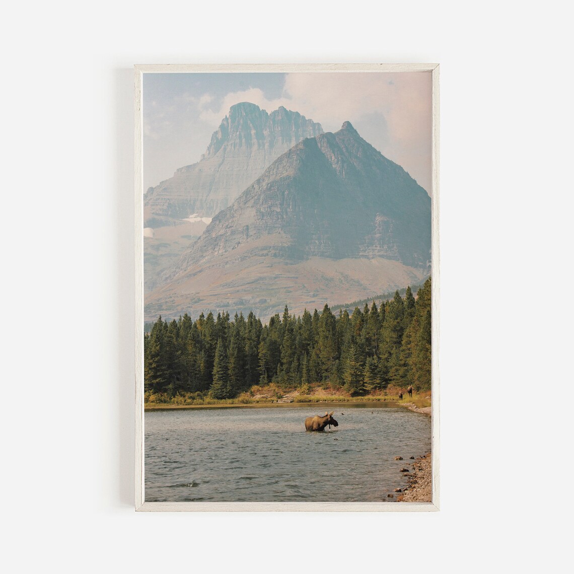 Bear Swimming In Lake Wall Art Print, Wildlife Scene