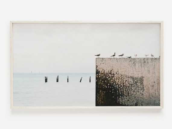 Seagulls On Weathered Sea Wall Minimal Coastal Photo Art Poster