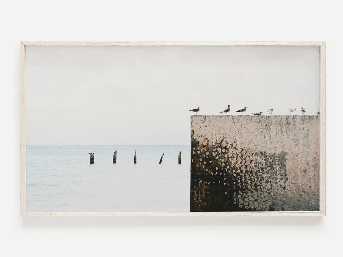 Seagulls On Weathered Sea Wall Minimal Coastal Photo Art Poster