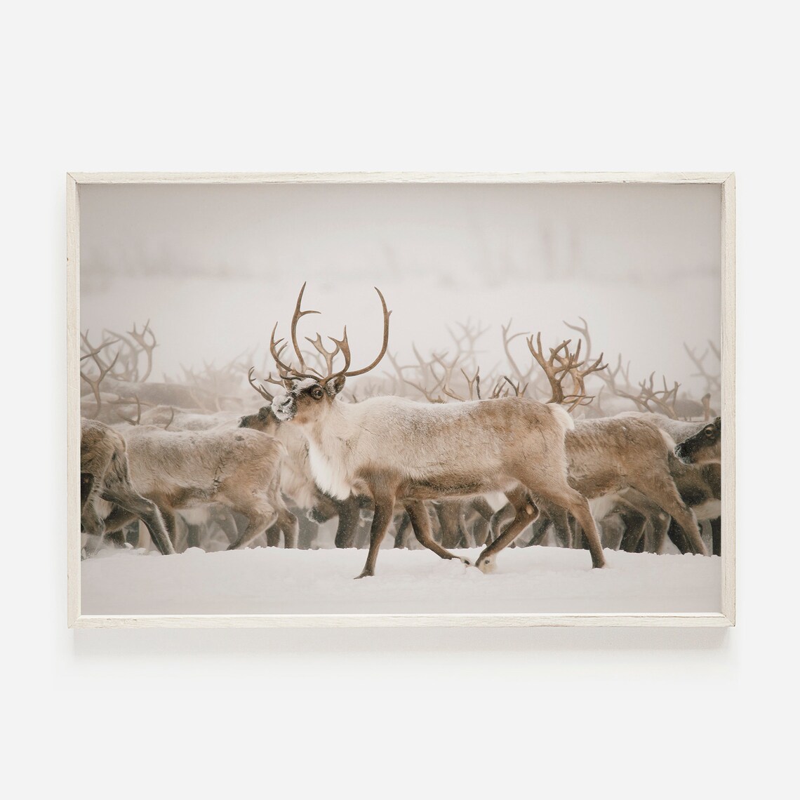 Reindeer Winter Poster, Farmhouse Lodge Decor