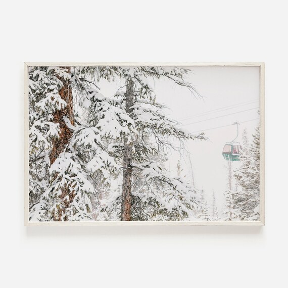 Snow Covered Pine Trees with Ski Gondola Winter Mountain Photograph Poster