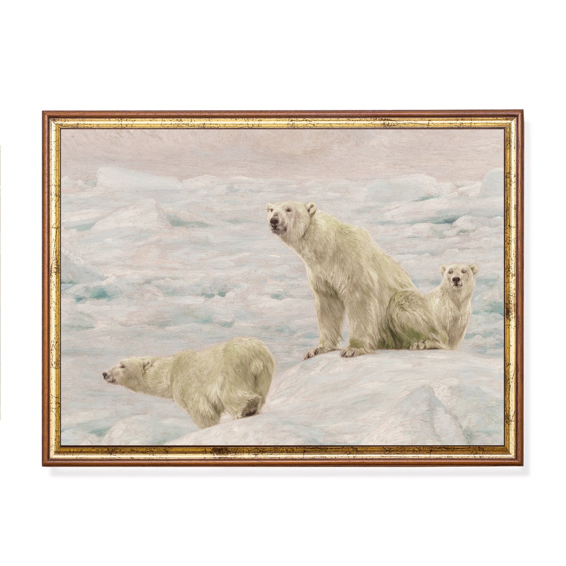 Three Polar Bears Standing on Ice Floes in the Arctic Poster