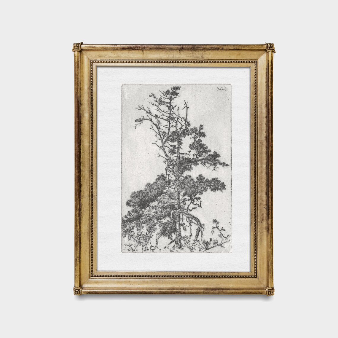 Vintage Tree Etching, Rustic Nature Art Print - Image 3