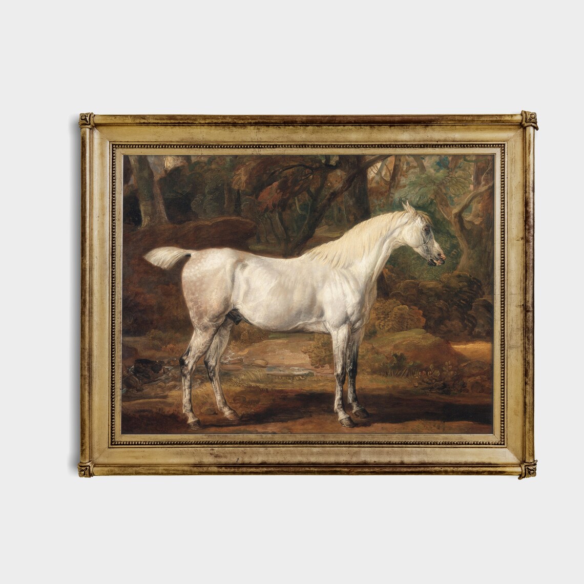 White Horse Standing Woodland Clearing Trees Vintage Equine Poster - Image 2
