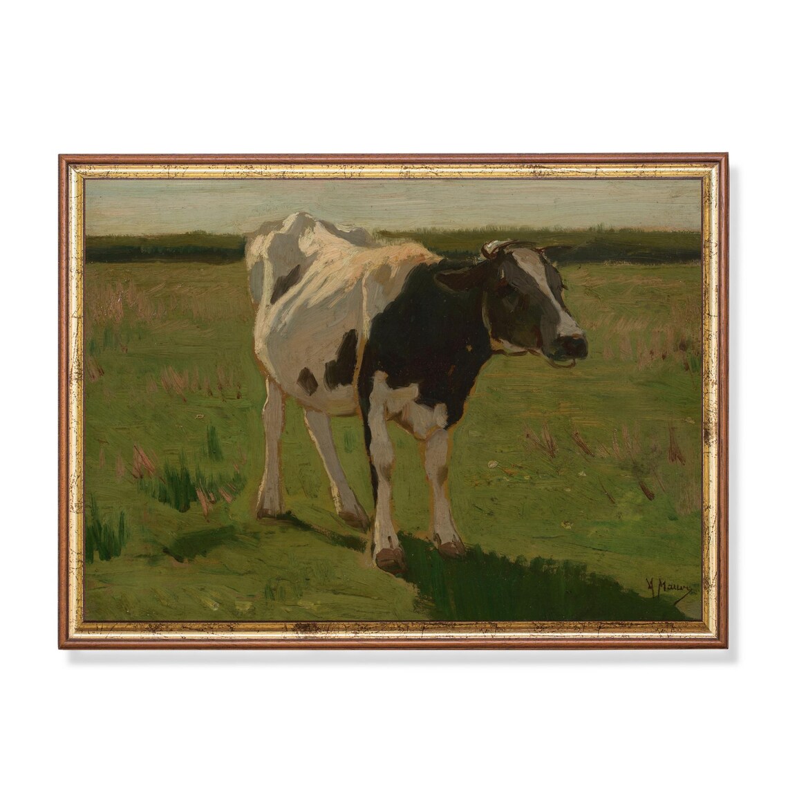 Black and White Cow Grazing in a Green Pasture Vintage Poster