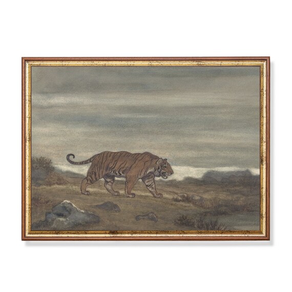 Tiger Walking Rocky Grassland Plain Vintage Wildlife Painting Poster