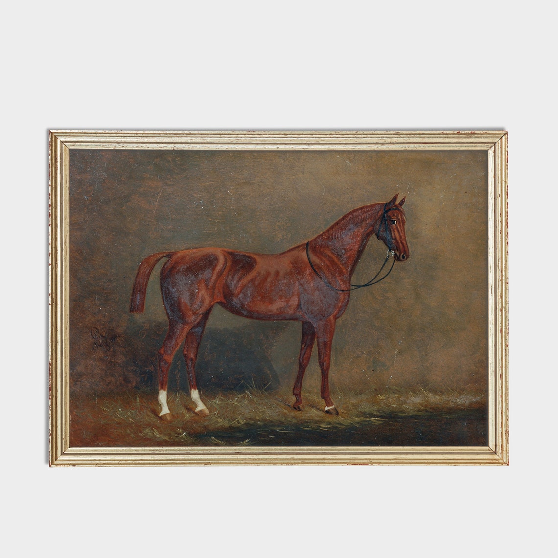 Chestnut Horse Standing in Profile Classic Sporting Art Poster - Image 2