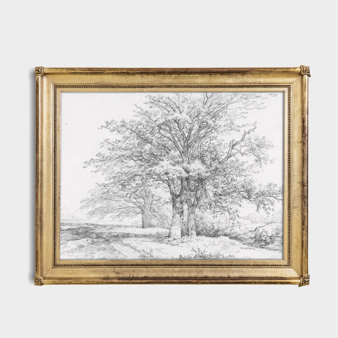 Oak Trees Pencil Sketch Antique Landscape Drawing Vintage Art Poster - Image 4