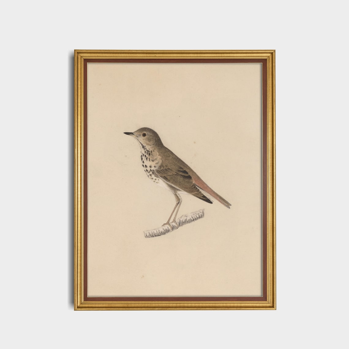 Vintage Bird Sketch Antique Drawing Art Print, Farmhouse - Image 2