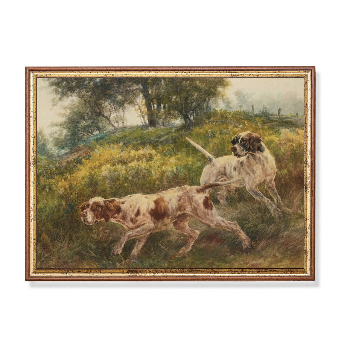 Two Setter Dogs Hunting in Tall Grass Antique Sporting Art Poster
