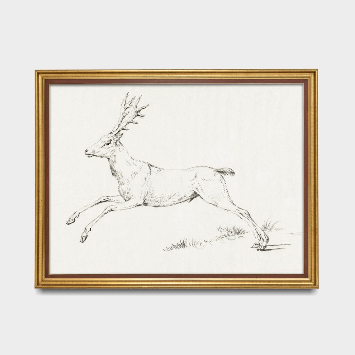 Leaping Stag Pencil Sketch Antlered Deer Wildlife Drawing Poster - Image 5