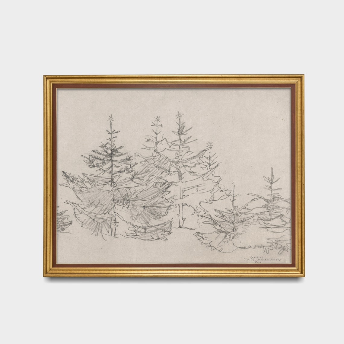 Antique Pine Tree Pencil Sketch Forest Study Neutral Vintage Print - Image 2