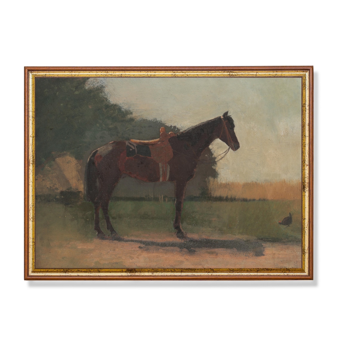 Saddled Bay Horse Standing in a Sunny Summer Field Antique Poster