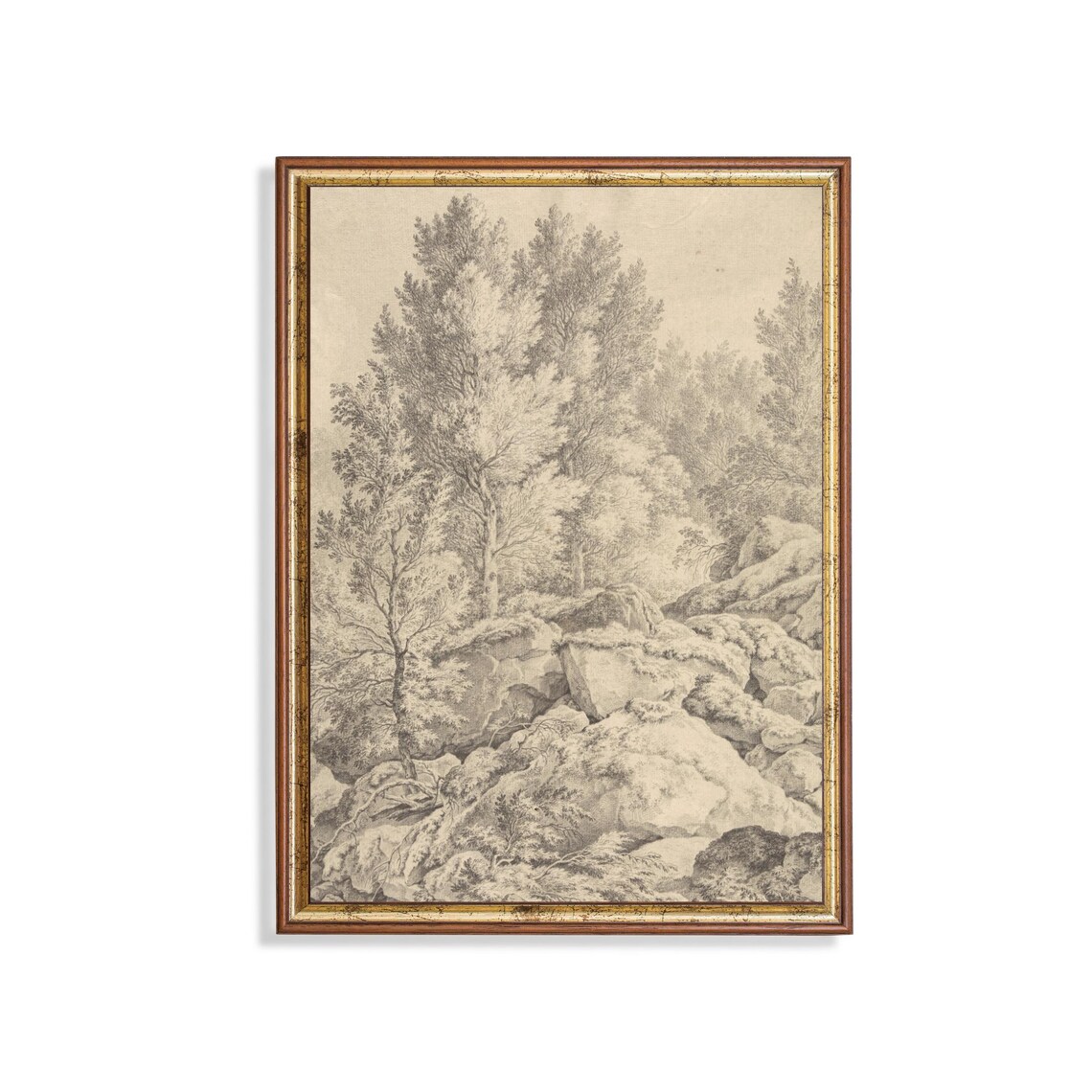 Rocky Woodland Hill Antique Pencil Sketch Neutral Art Poster