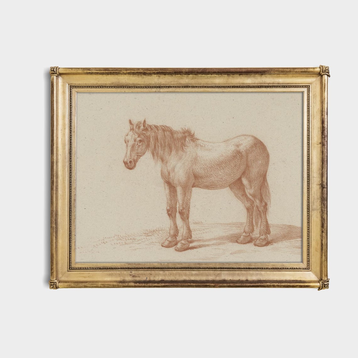 Standing Horse in Profile in Red Chalk Vintage Sketch Poster - Image 4