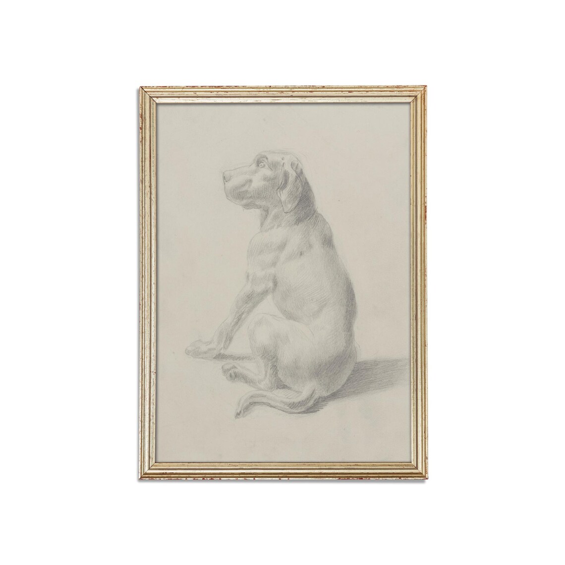 Antique Pencil Sketch Seated Hound Dog Minimalist Animal Art Poster - Image 3