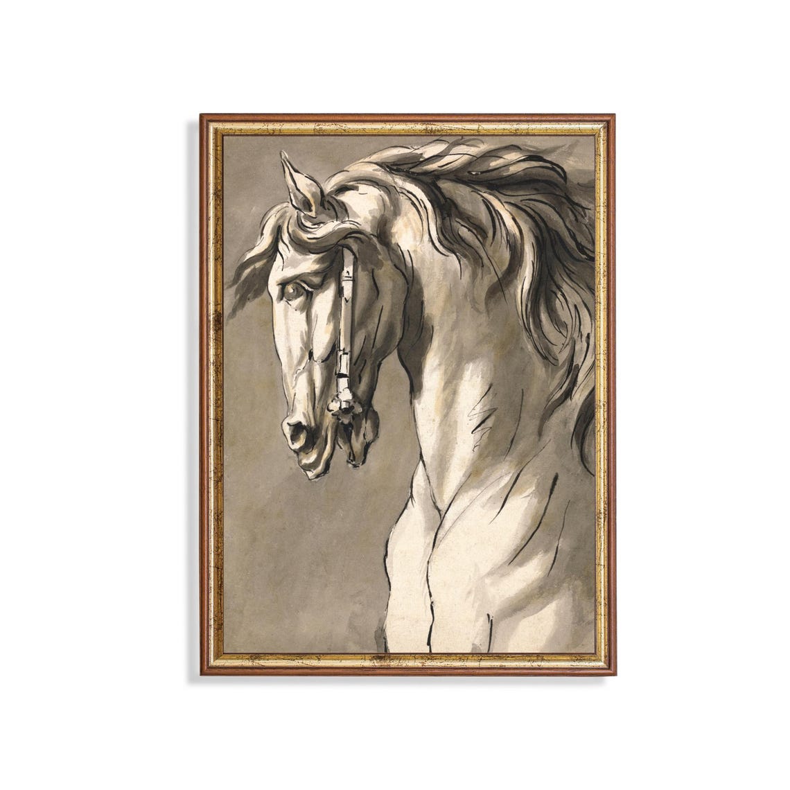 Noble White Horse Head Study Vintage Equine Pencil Sketch Poster