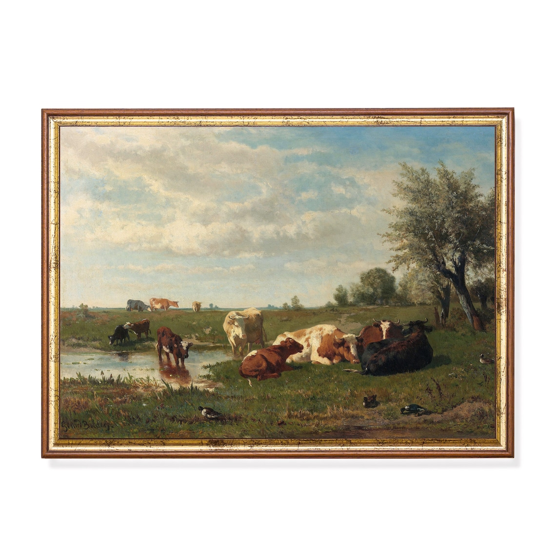 Cows Resting and Drinking in a Meadow Vintage Pastoral Poster