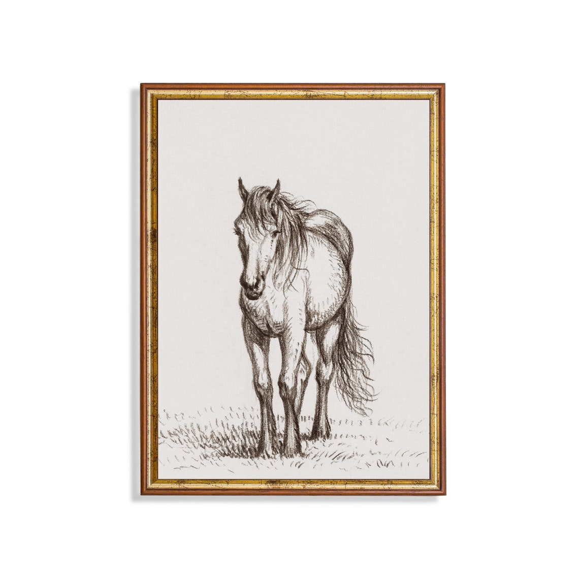 Standing Horse Front View Ink Sketch Antique Equestrian Poster