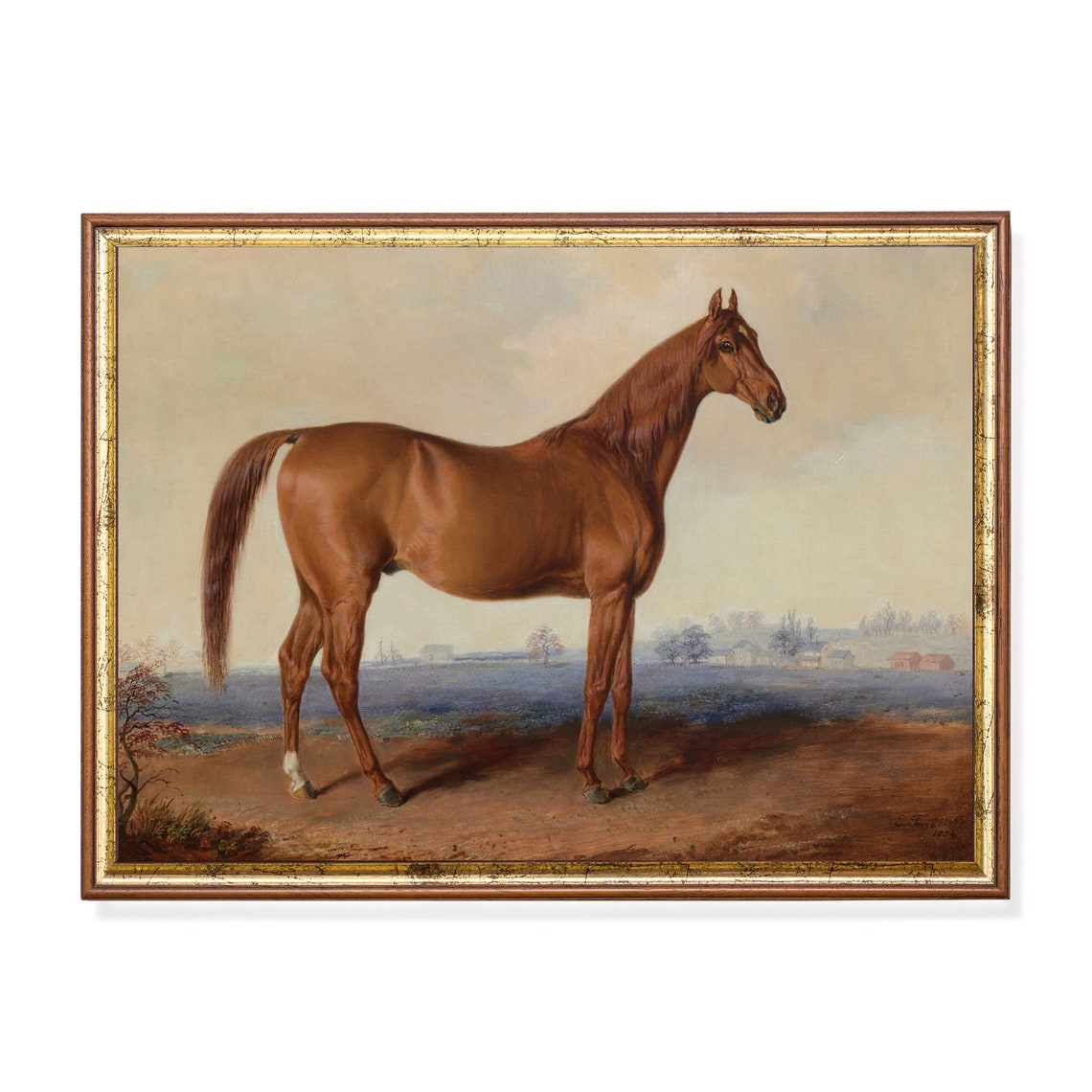Chestnut Horse Portrait Standing in Pasture Antique Equestrian Print