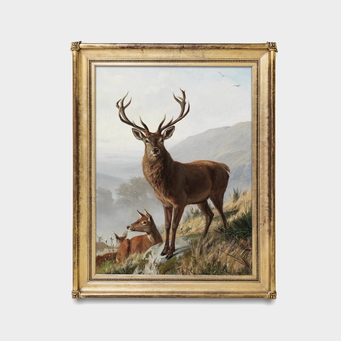 Majestic Red Deer Stag on Rocky Crag with Herd Vintage Wildlife Poster - Image 2