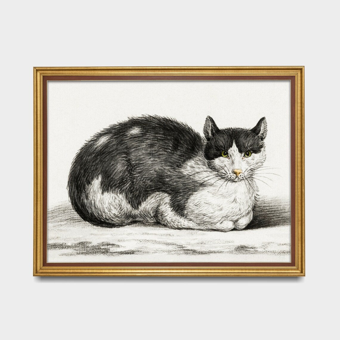 Lying Gray and White Cat With Green Eyes Antique Animal Drawing Poster - Image 3