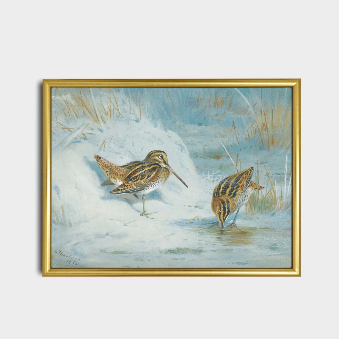Pair Of Snipe In A Snowy Winter Stream Bird Painting Vintage Poster - Image 2