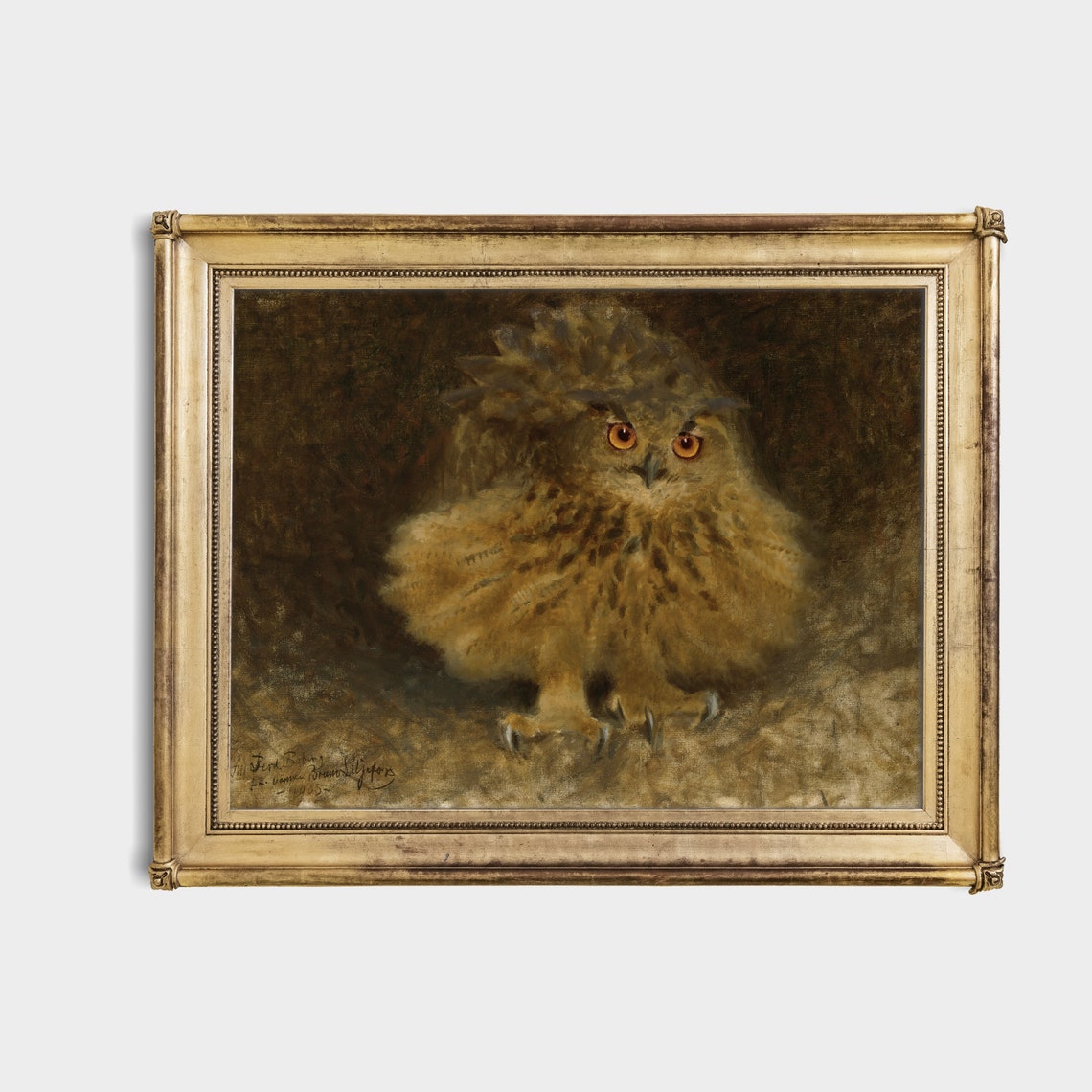 Fluffy Young Owl With Huge Bright Orange Eyes Vintage Poster - Image 4