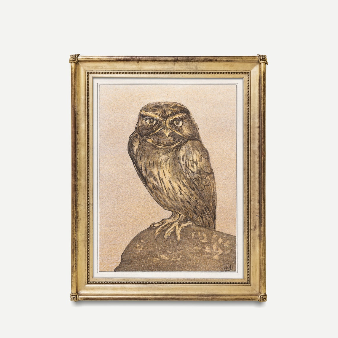 Little Owl Perched on a Rock Vintage Sepia Owl Illustration Poster - Image 4