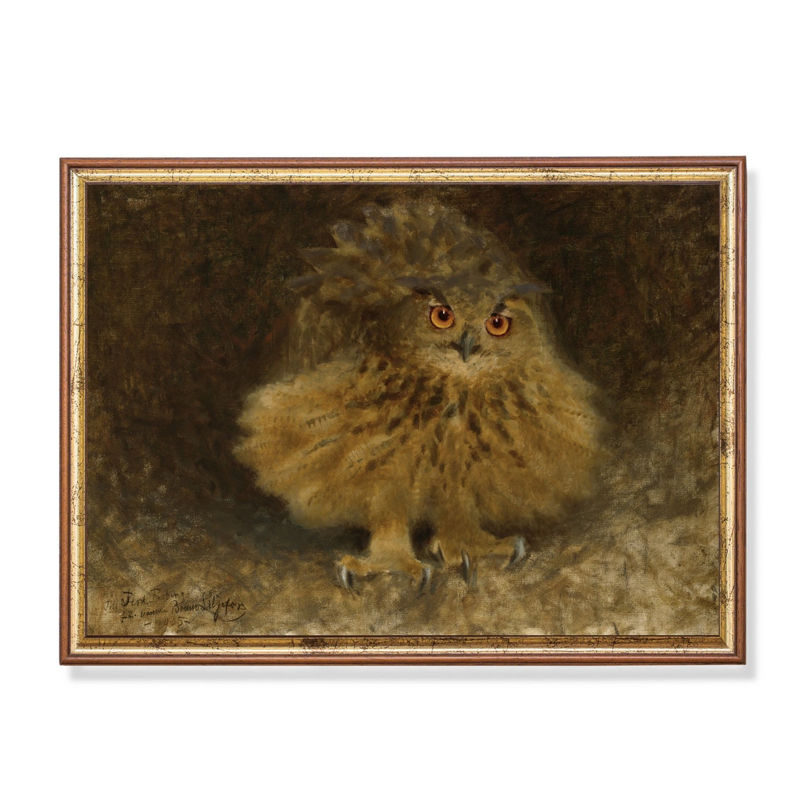 Fluffy Young Owl With Huge Bright Orange Eyes Vintage Poster