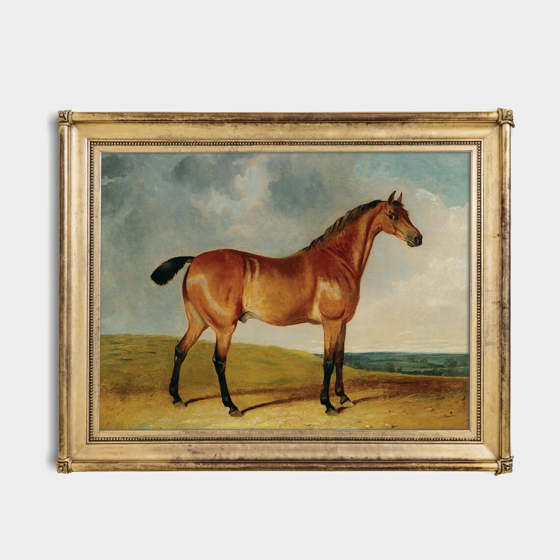Chestnut Horse Standing in an Open Field Antique Equestrian Poster - Image 2
