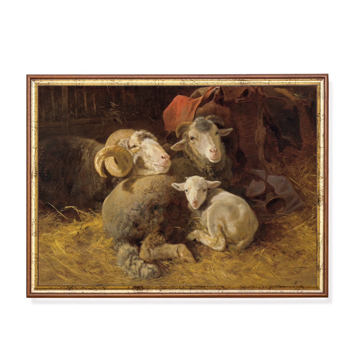 Ewe Ram and Lamb Resting on Straw Vintage Farm Animal Poster