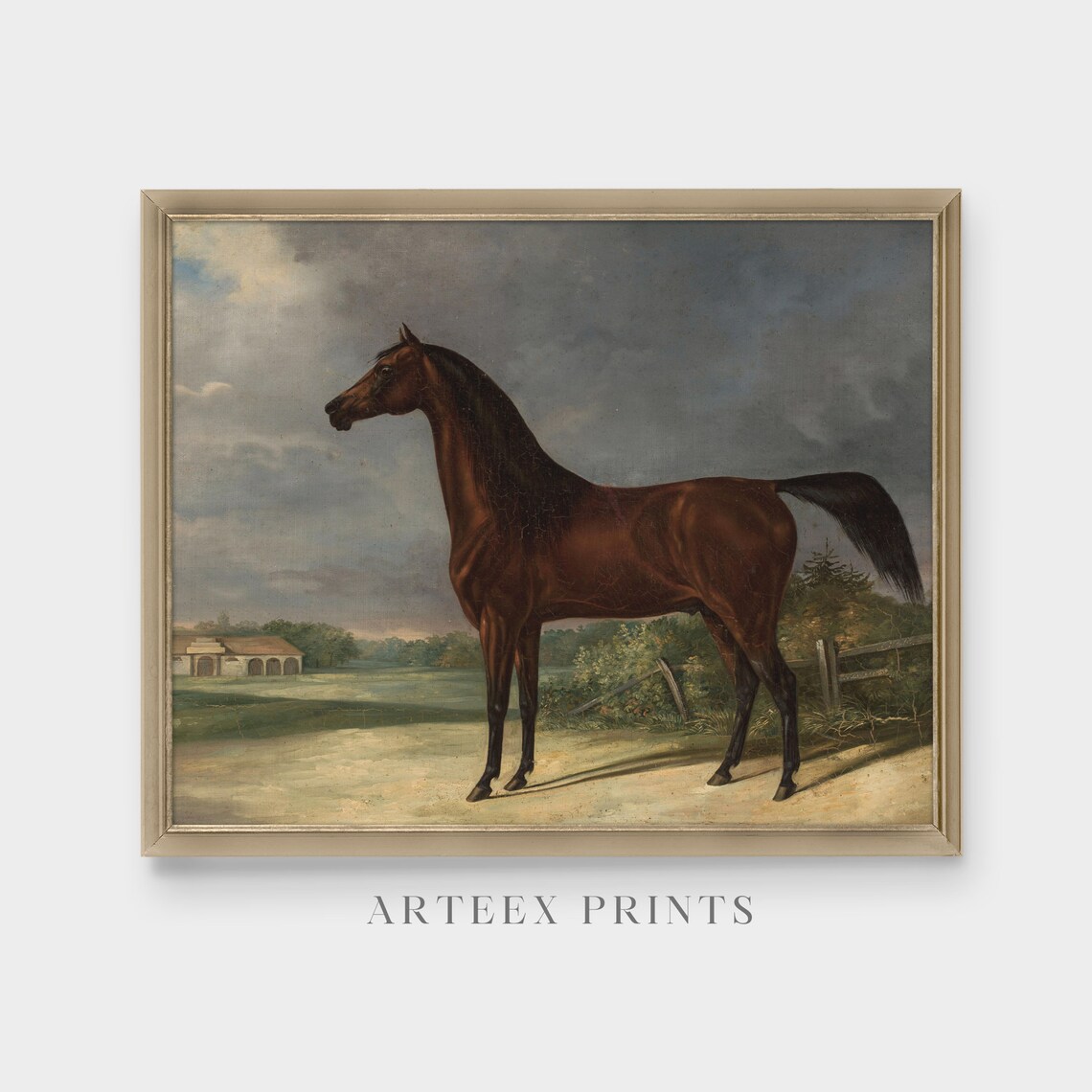 Dark Bay Stallion by the Stable Yard Vintage Horse Portrait Poster - Image 5