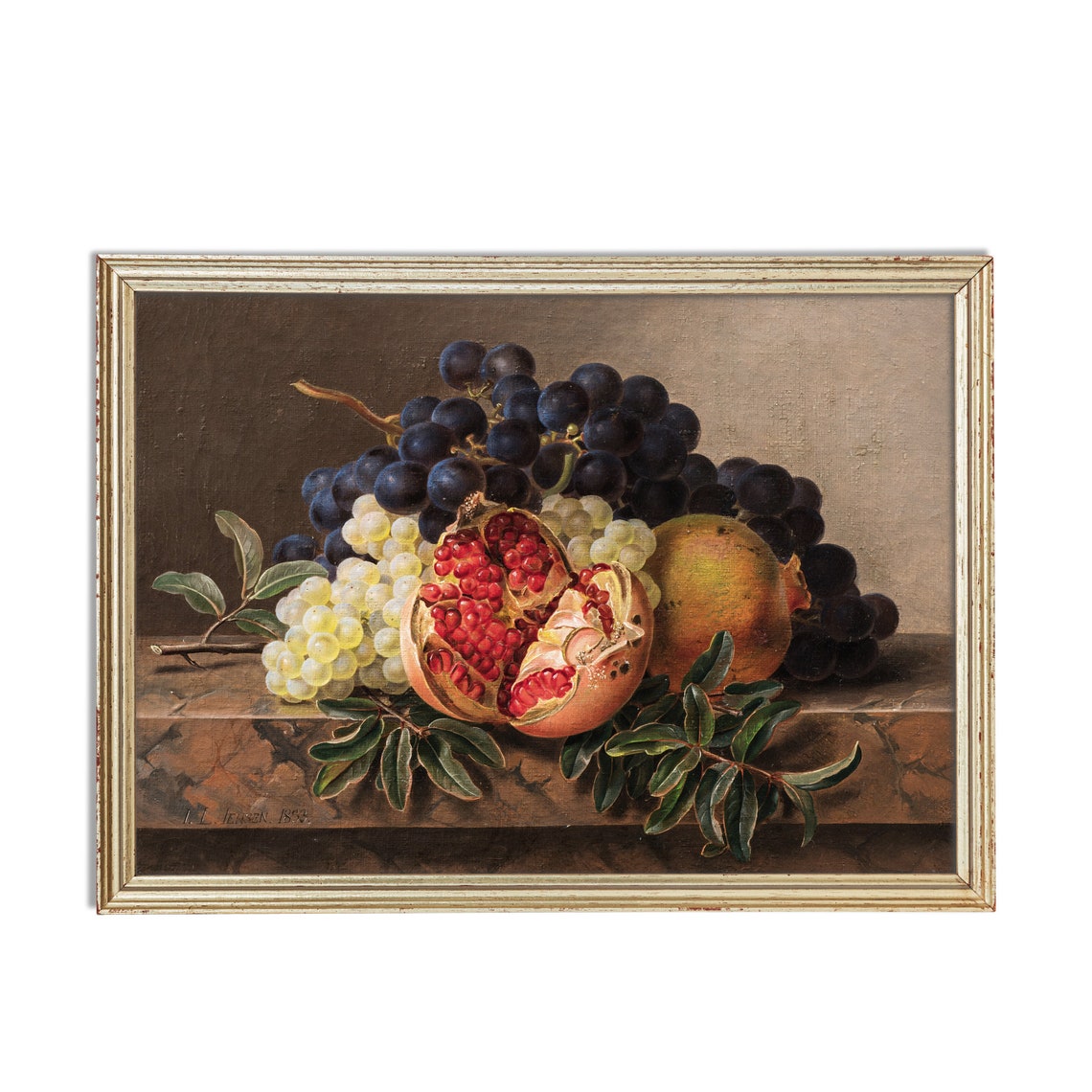 Pomegranate and Grapes Still Life on Marble by J.L. Jensen Poster - Image 2