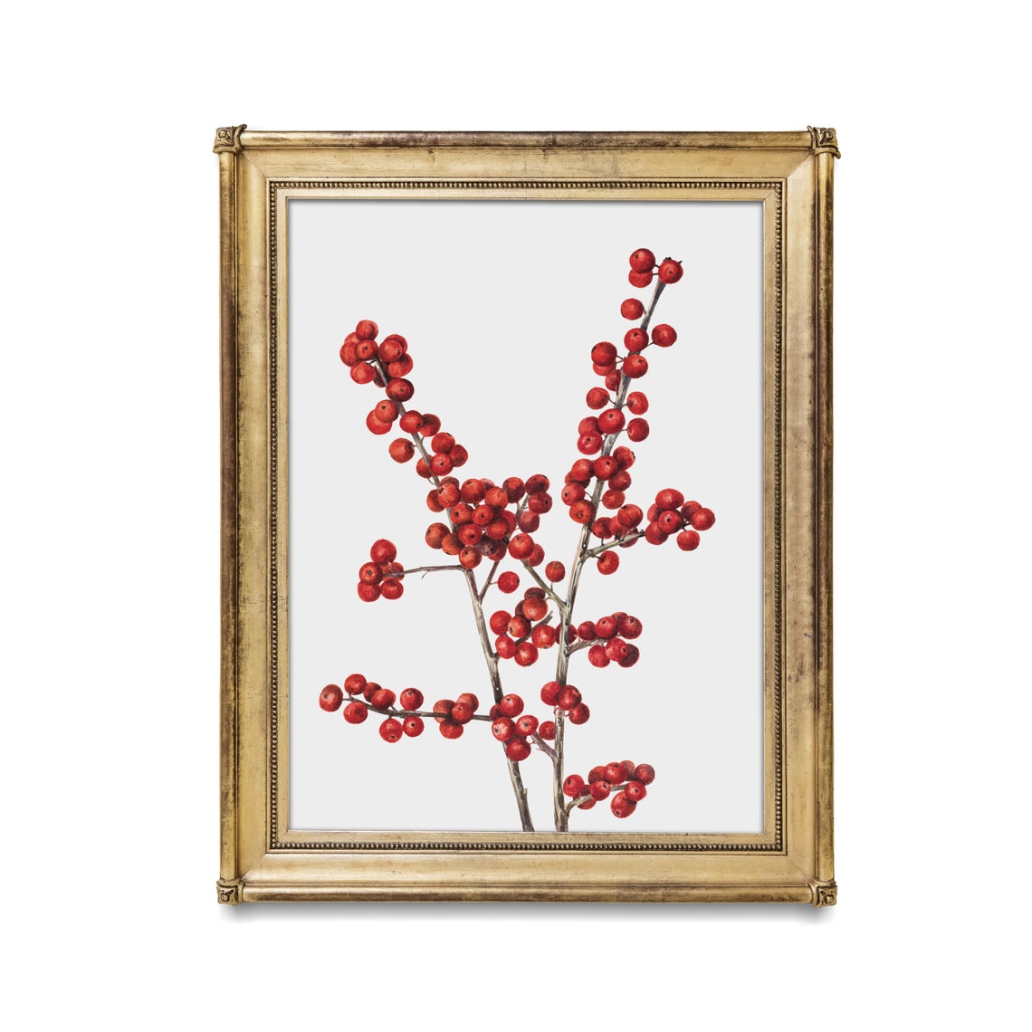 Bright Red Winterberry Branches Against a Crisp White Wall Art - Image 2