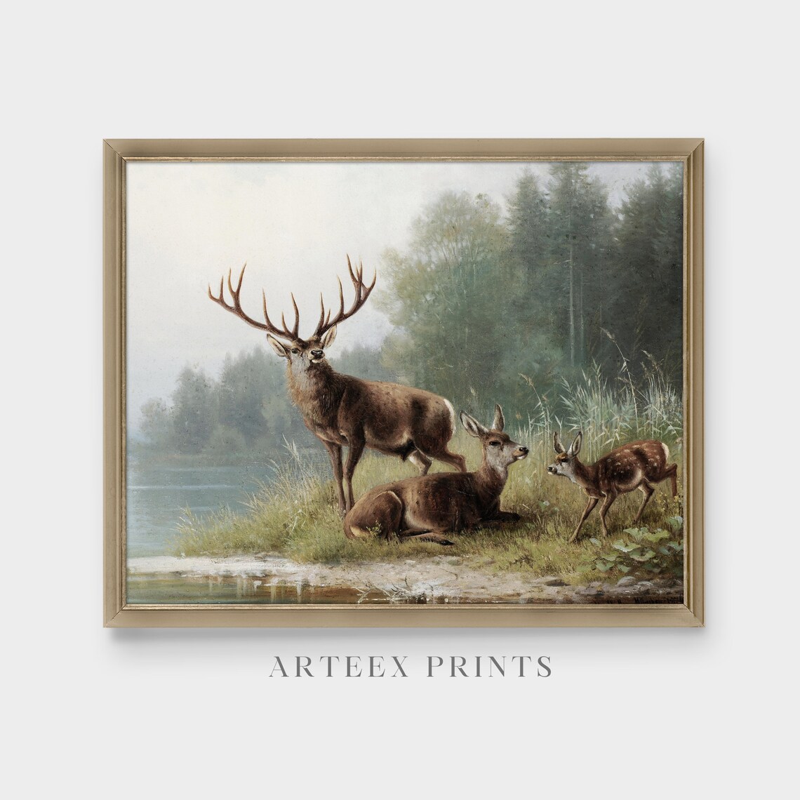 Stag Doe and Fawn at Misty Lake Vintage Deer Painting Poster - Image 5