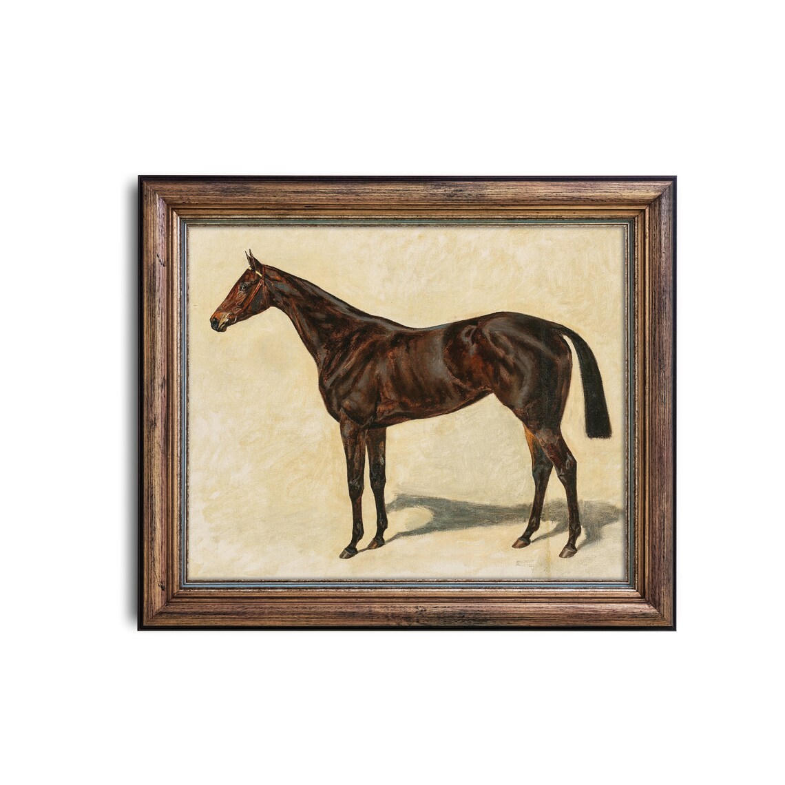 Dark Bay Horse Standing In Profile Vintage Equine Portrait Poster - Image 2