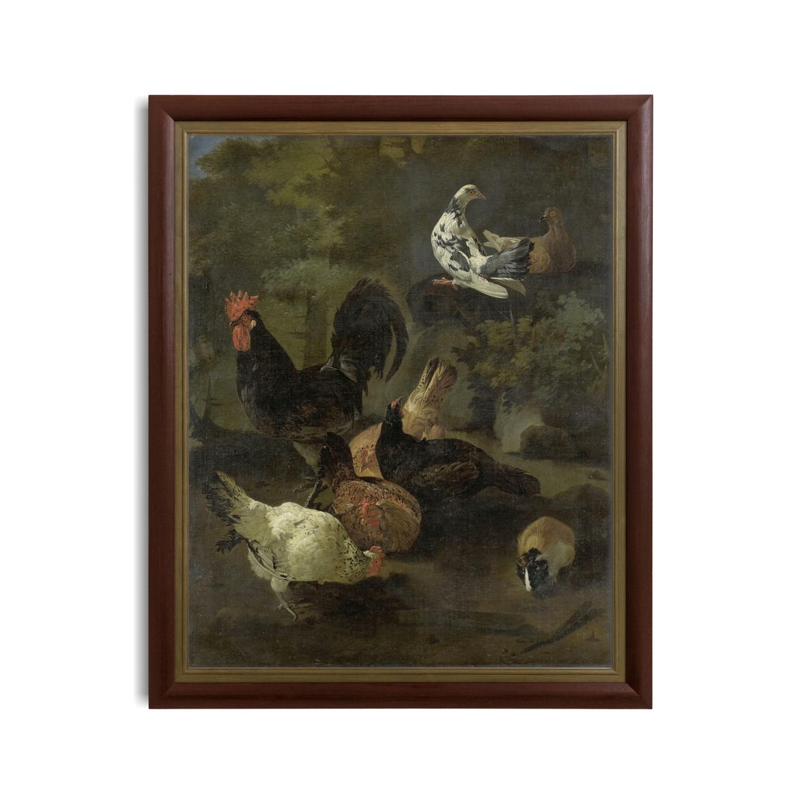 Black Rooster Hens Doves and a Guinea Pig in a Farmyard Poster - Image 3