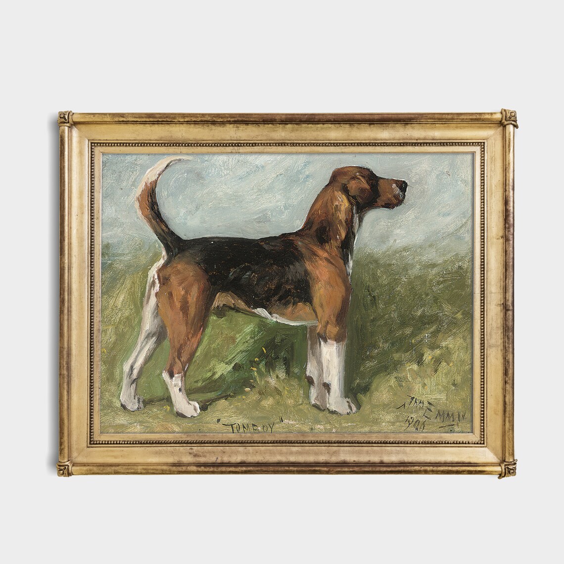 Tomboy the Foxhound Standing in a Field 1905 Vintage Dog Poster - Image 2
