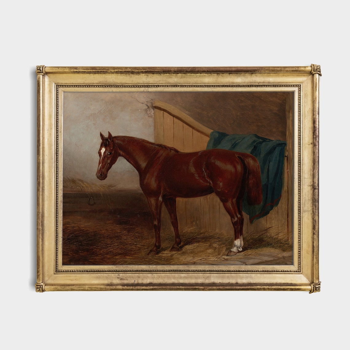 Bay Horse Standing by a Stable Door with a Blue Blanket Poster - Image 2