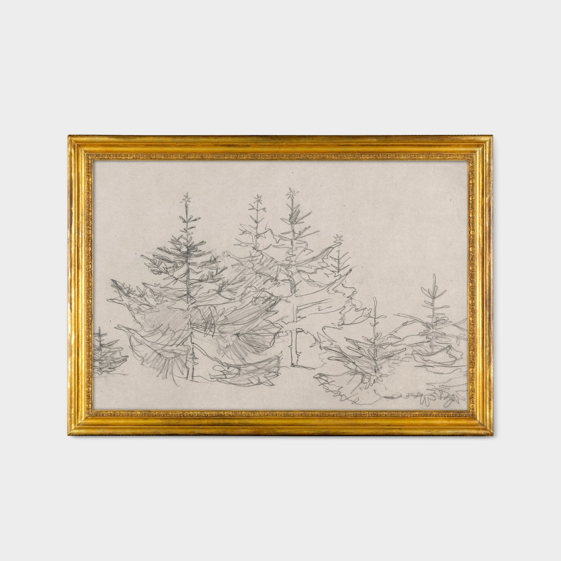 Antique Pine Tree Pencil Sketch Forest Study Neutral Vintage Print - Image 3