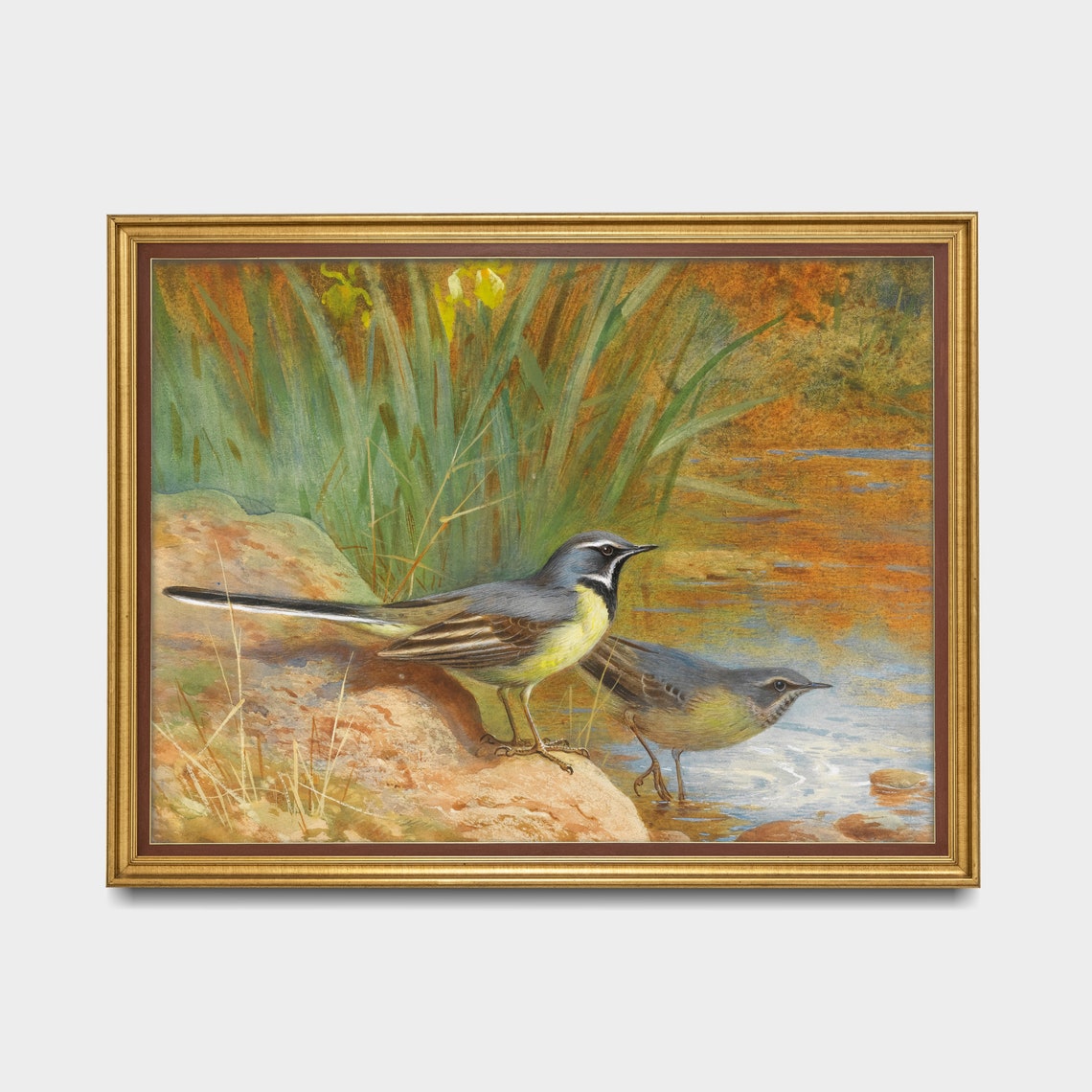 Gray Wagtails by the Riverside Vintage Bird Illustration Poster - Image 3