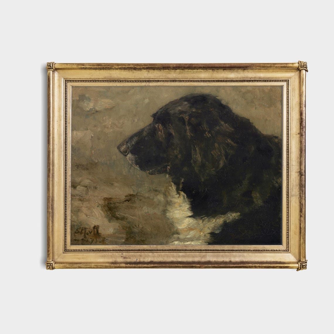 Black Spaniel Dog in Profile Moody Vintage Pet Portrait Poster - Image 4