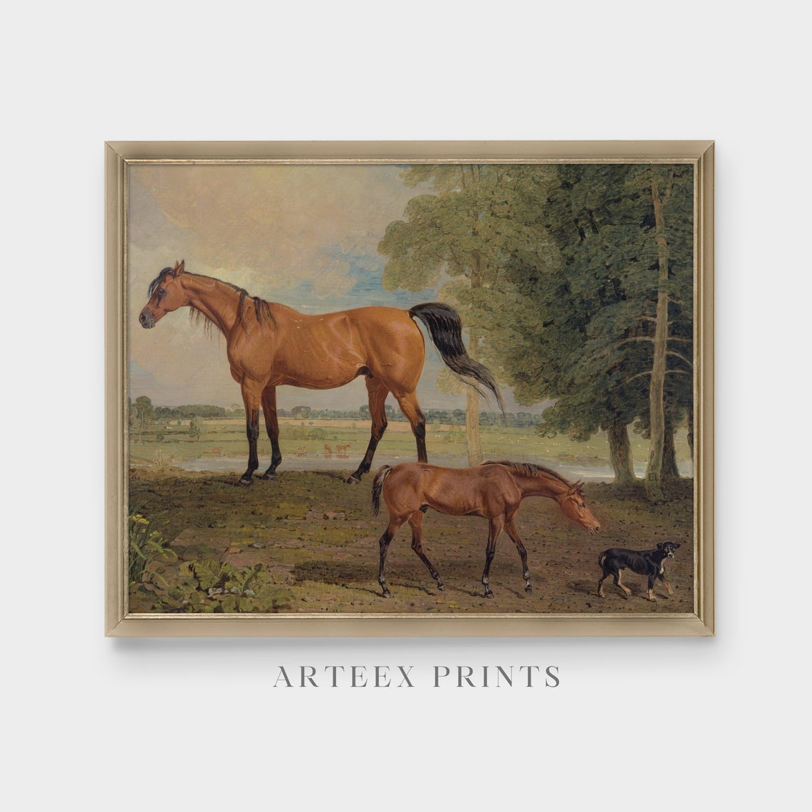 Antique Mare Foal and Small Black Dog in Woodland Pasture Poster - Image 3