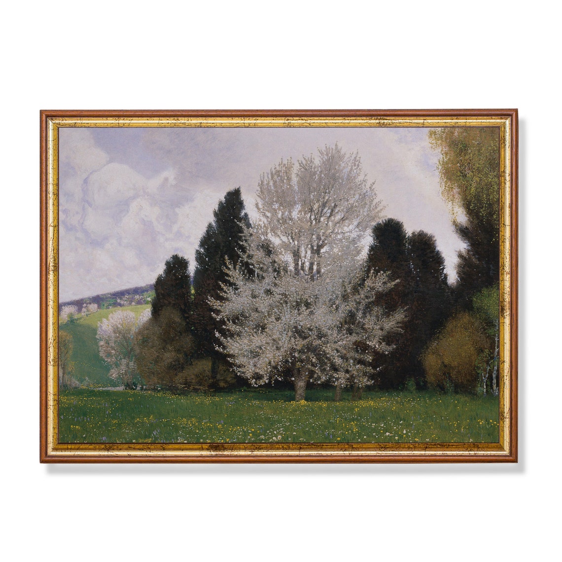 White Blossom Trees in a Spring Meadow Landscape Painting Poster