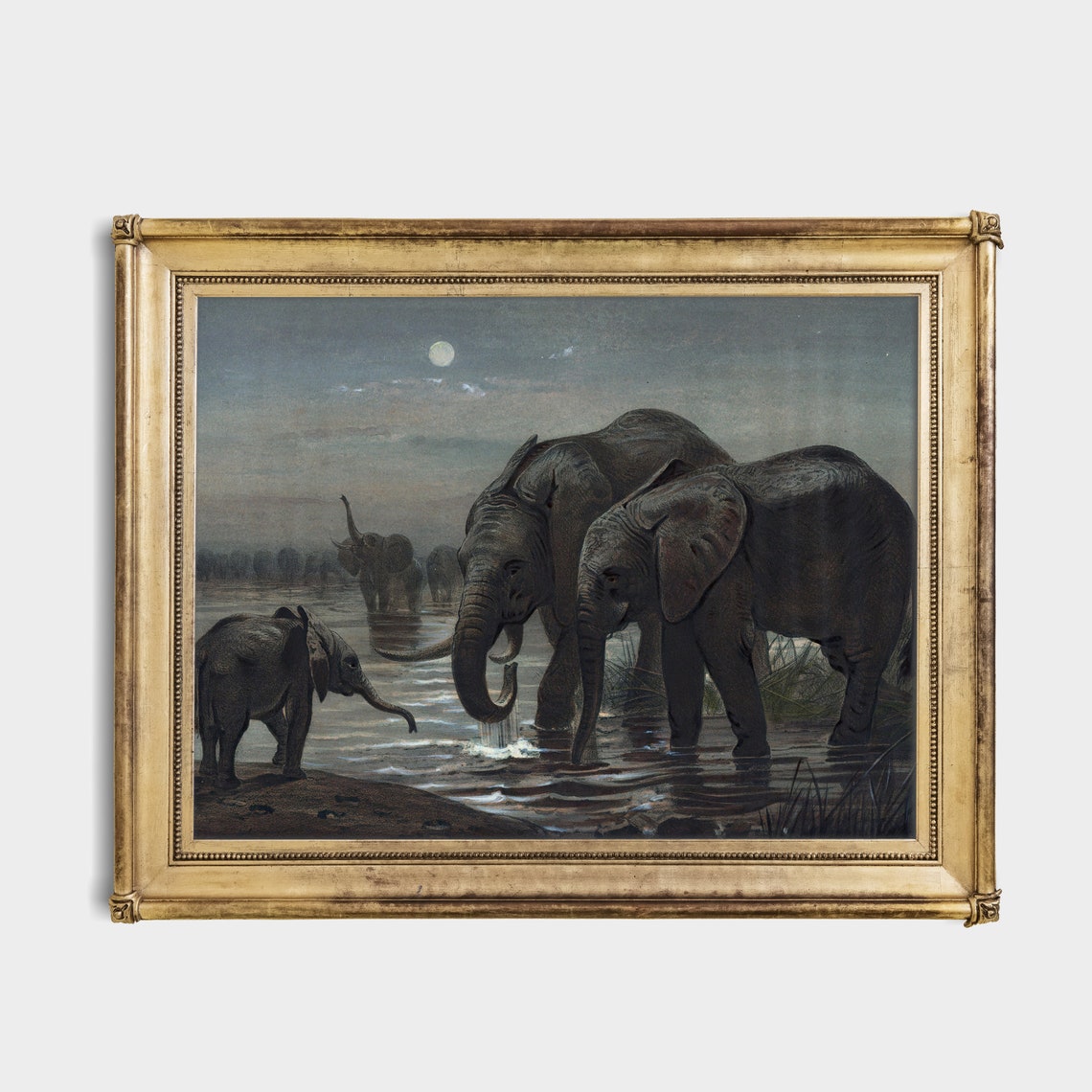 Vintage Elephant Herd Drinking at a Moonlit Waterhole Night Poster - Image 3