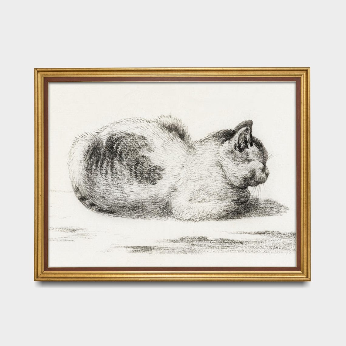Sleeping Cat Curled Up Tight Vintage Graphite Sketch Art Poster - Image 5