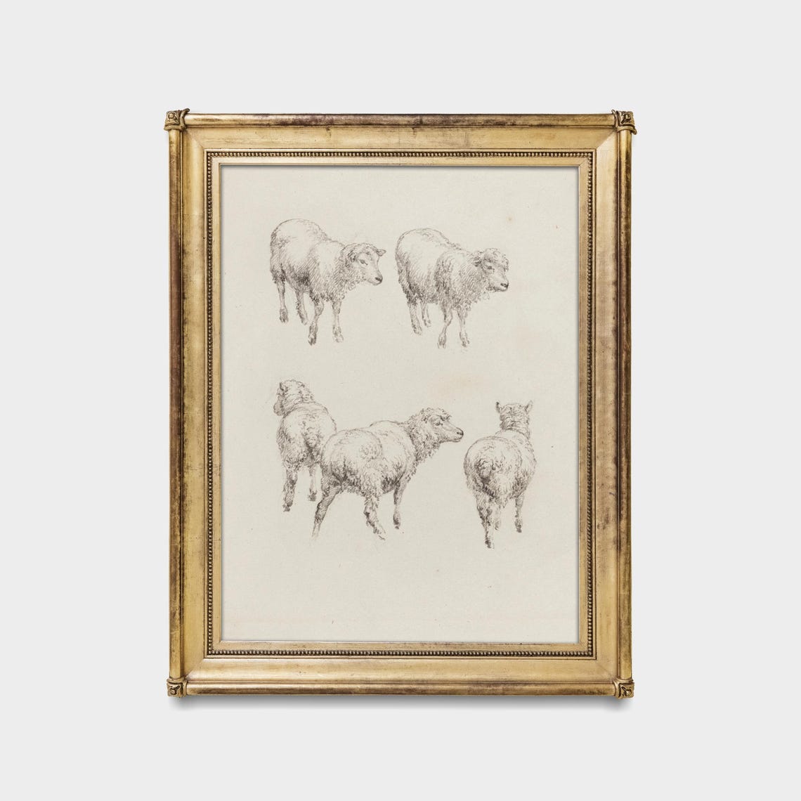 Five Sheep Vintage Pencil Sketch Animal Study Drawing Poster - Image 5